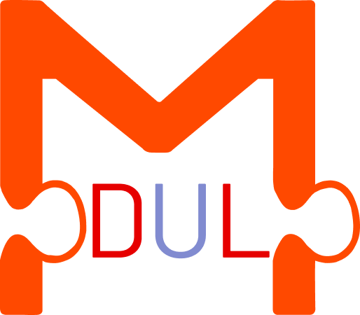 Logo Modulo